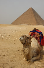 Gay Egypt tour