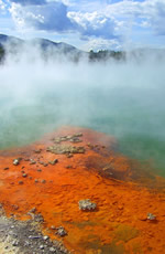 New Zealand 11 Days All-Gay Tour