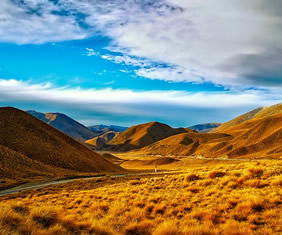 New Zealand gay holidays