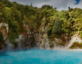 New Zealand gay trip