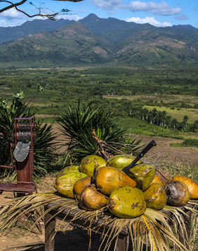 Cuba Trinidad coconut