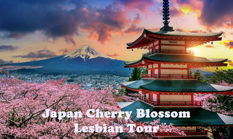 Japan Cherry Blossom Lesbian Tour