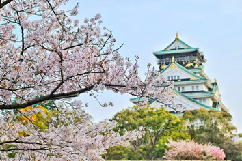 Tokyo lesbian cherry blossom tour