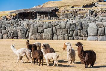 Sacsayhuaman Peru gay tour