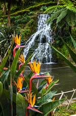 Azores Gay Adventure Tour