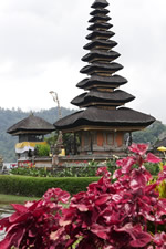 Bali Gay Tour