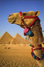 Nile River, Egypt gay cruise & tour