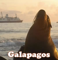 Galapagos Gay Cruise