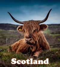 Scotland Gay Adventure Tour