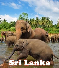 Sri Lanka luxury gay tour