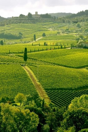 Chianti Italy gay biking tour