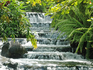 Hermes Tours Costa Rica Gay Tour