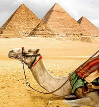 Egyptian Discovery gay tour and Nile Cruise