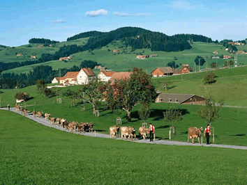 Hermes Tours Scenic Switzerland Gay Tour