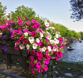 Amsterdam canals gay tour