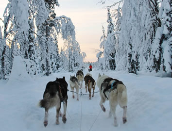 Finland gay winter tour
