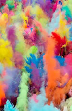 India Holi Festival Gay Tour