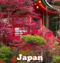 Japan fall foliage gay tour