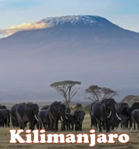 Kilimanjaro Gay Climb