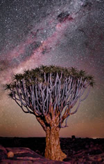 Namibia gay adventure