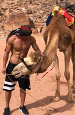 Petra gay trip