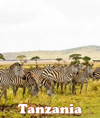 Tanzania gay safari tour
