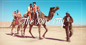 Petra Gay Travel