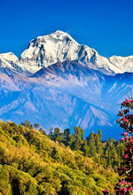 Nepal Gay Group Tour