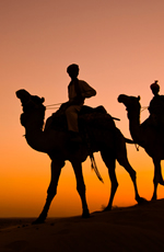 Rajasthan India Gay Tour