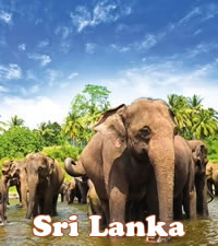 Sri Lanka (Ceylon) Gay Group Tour