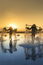 Vietnam Gay Group Tour