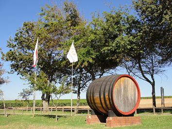 South Africa Cape wine region Tour