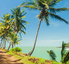 French Guiana gay tour