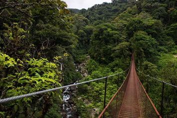 Panama gay tour - Chiriqui Skywalk