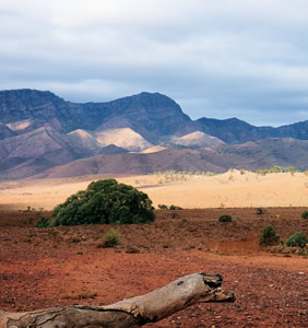 Ikara Flinders Ranges National Park gay tour