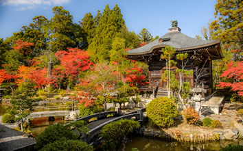 Fall foliage Japan gay tour