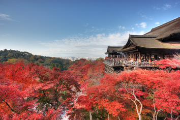 Kyoto, Japan gay tour