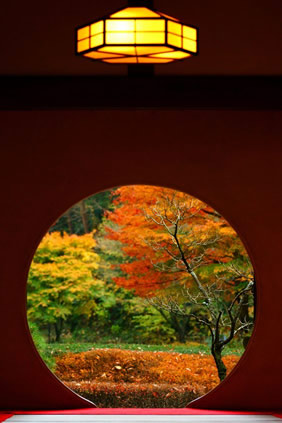 Meigetsu-in, Temple, Kamakura, Japan
