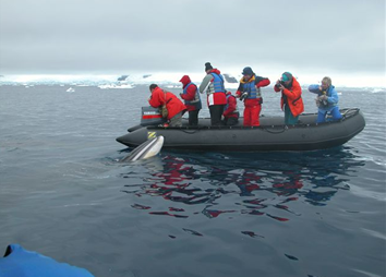 Yellow Brick Road Tours exclusively gay Antarctica Gay Cruise