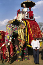 India Highlights Gay Tour