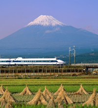 Japan Adventure Gay Tour