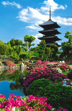Japan Adventure Exclusively Gay Tour