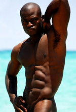 Gay Tour to South Africa