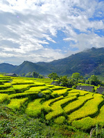 Vietnam Gay Tour