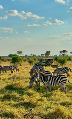 Kenya luxury gay safari tour