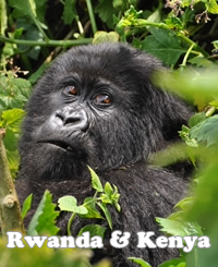 Kenya gay safari tour