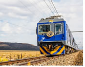 Blue Train South Africa luxury gay tour