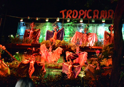 Cuba Tropicana show