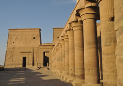 gay egypt tour Flat chested strip