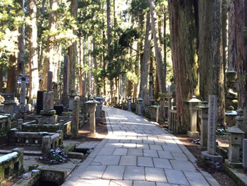 Japan gay tour - Mount Koya